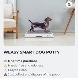 Pet Smart Potty Weasy