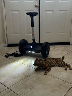 Segway Ninebot S2 – Excellent Condition, Bluetooth, Ready to Ride