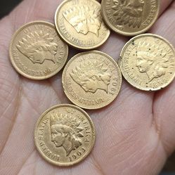 6   indian head penny   