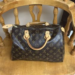 Louis Buitton Speedy 30 Handbag