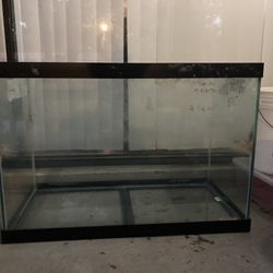 70 Gallon Tank