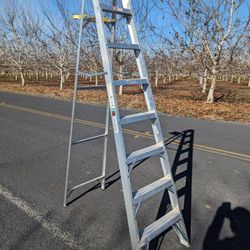 Davidson W-2212-08S 8 Ft Ladder

