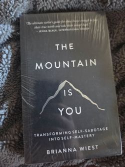 The Mountain Is You Brand new book