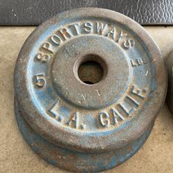 5lb Weights