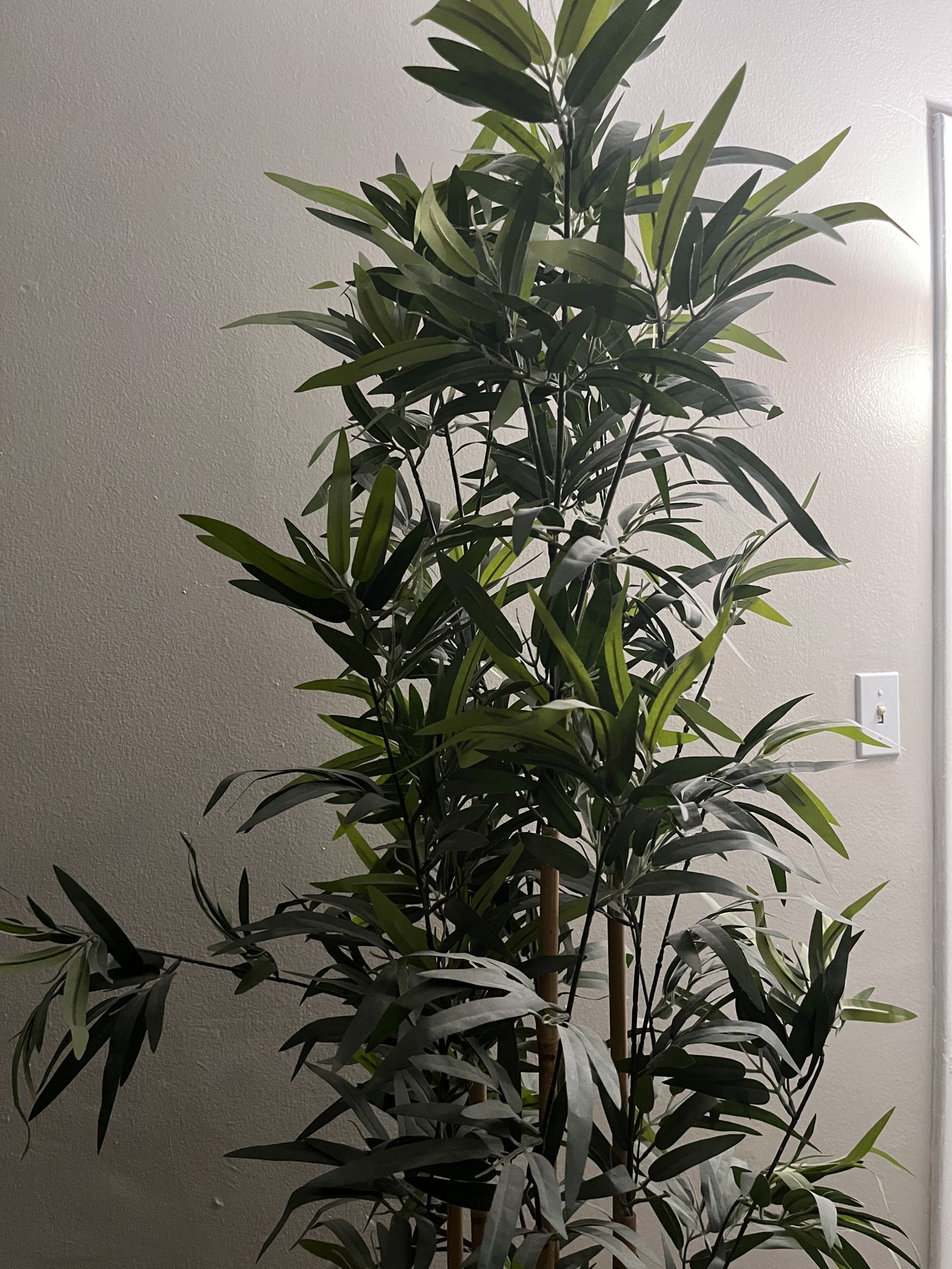IKEA Artificial Bamboo in White Pot
