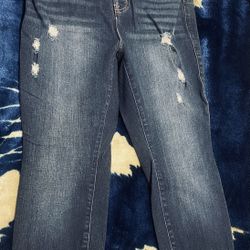 Torrid Jeans