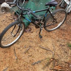 Trek Mountain Bike