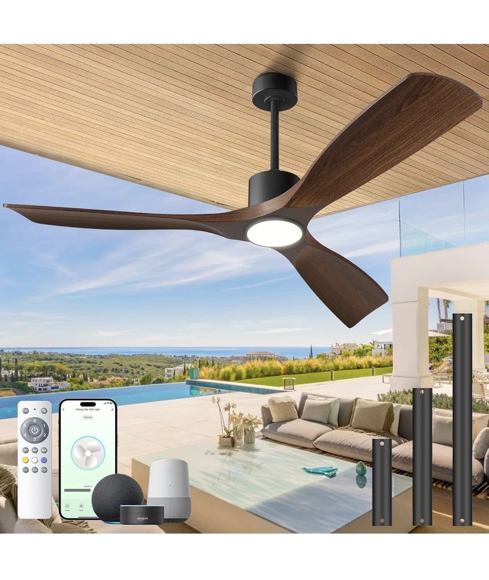 Indoor Outdoor Ceiling Fan And Light W/ Remote