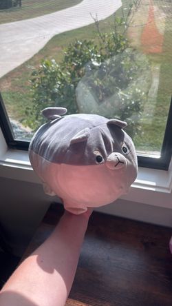 cat stuffed animal