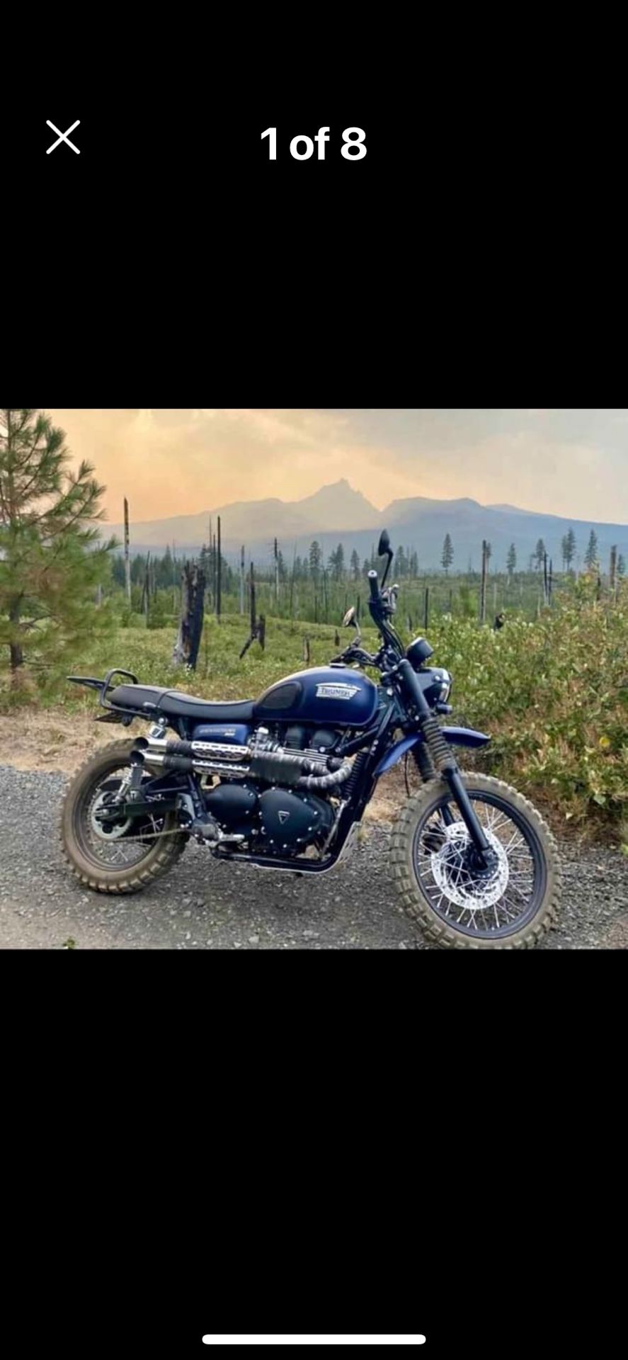 2017 Triumph Scrambler