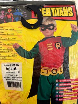 Robbin costume