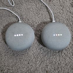 Google Nest Smart Speaker