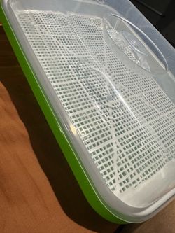 Seed Sprouting Tray with Lid