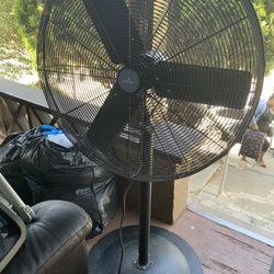 Fan