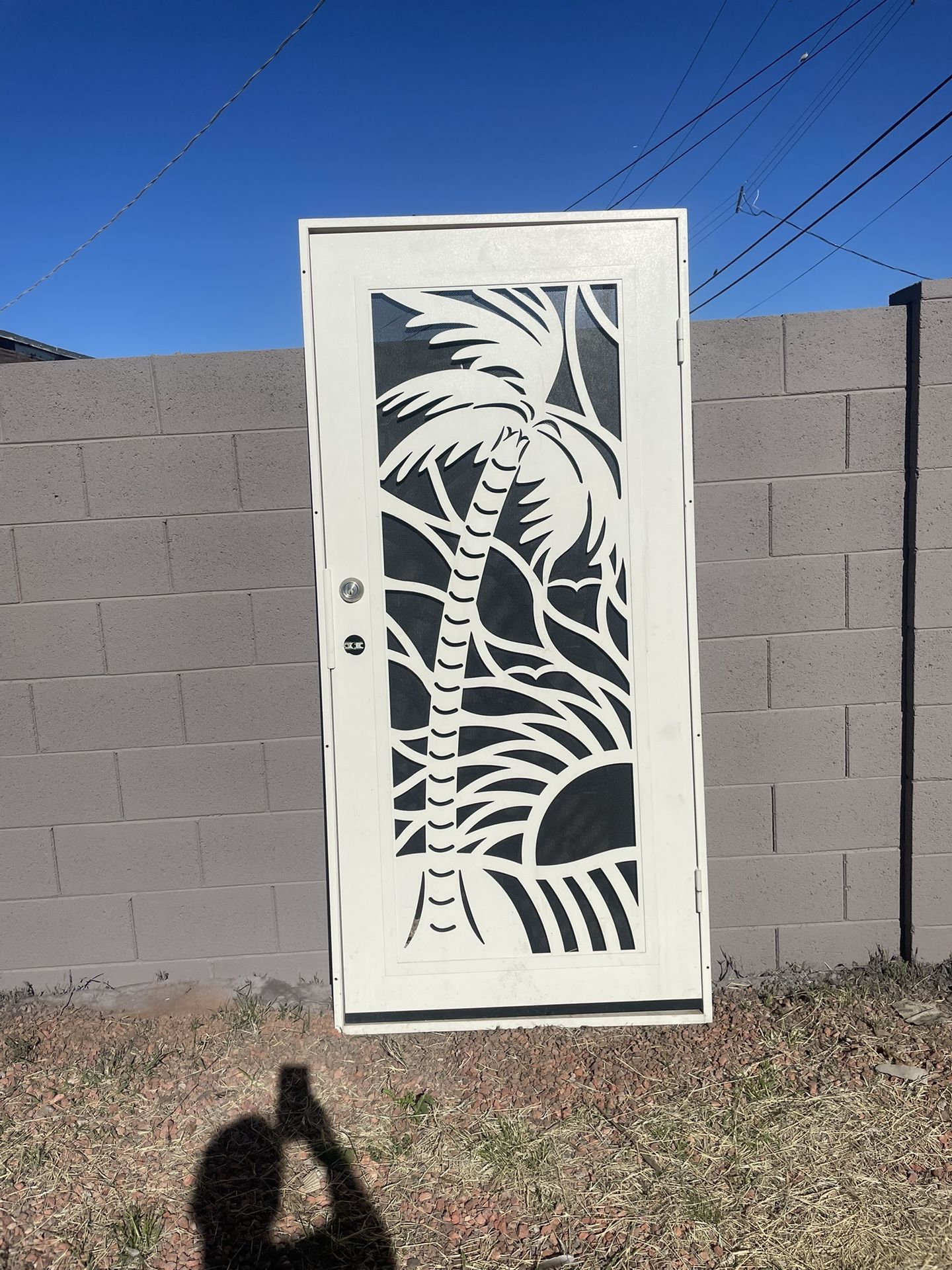 Fancy And Uppity Security Door