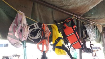 Doggie orange life jacket 20-40lbs