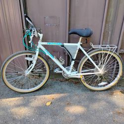 Raleigh men's mountain bike