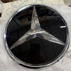 Mercedes GLE 53 AMG Grill And Emblem 