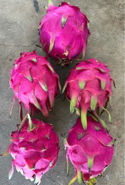 Purple Dragon Fruits