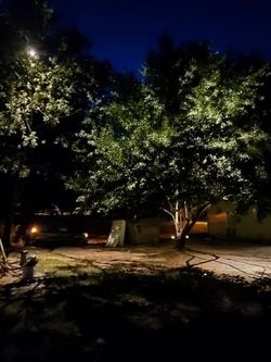 Tree lights for sale