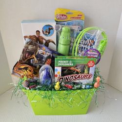 Pool Dinosaur Gift Basket NEW 