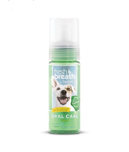 ♥TrOpI-ClEaN MiNt FoAm 4 PeTs♥