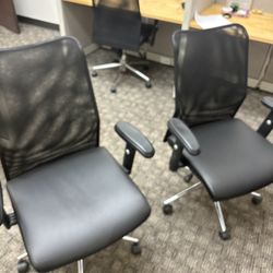 Office Chairs