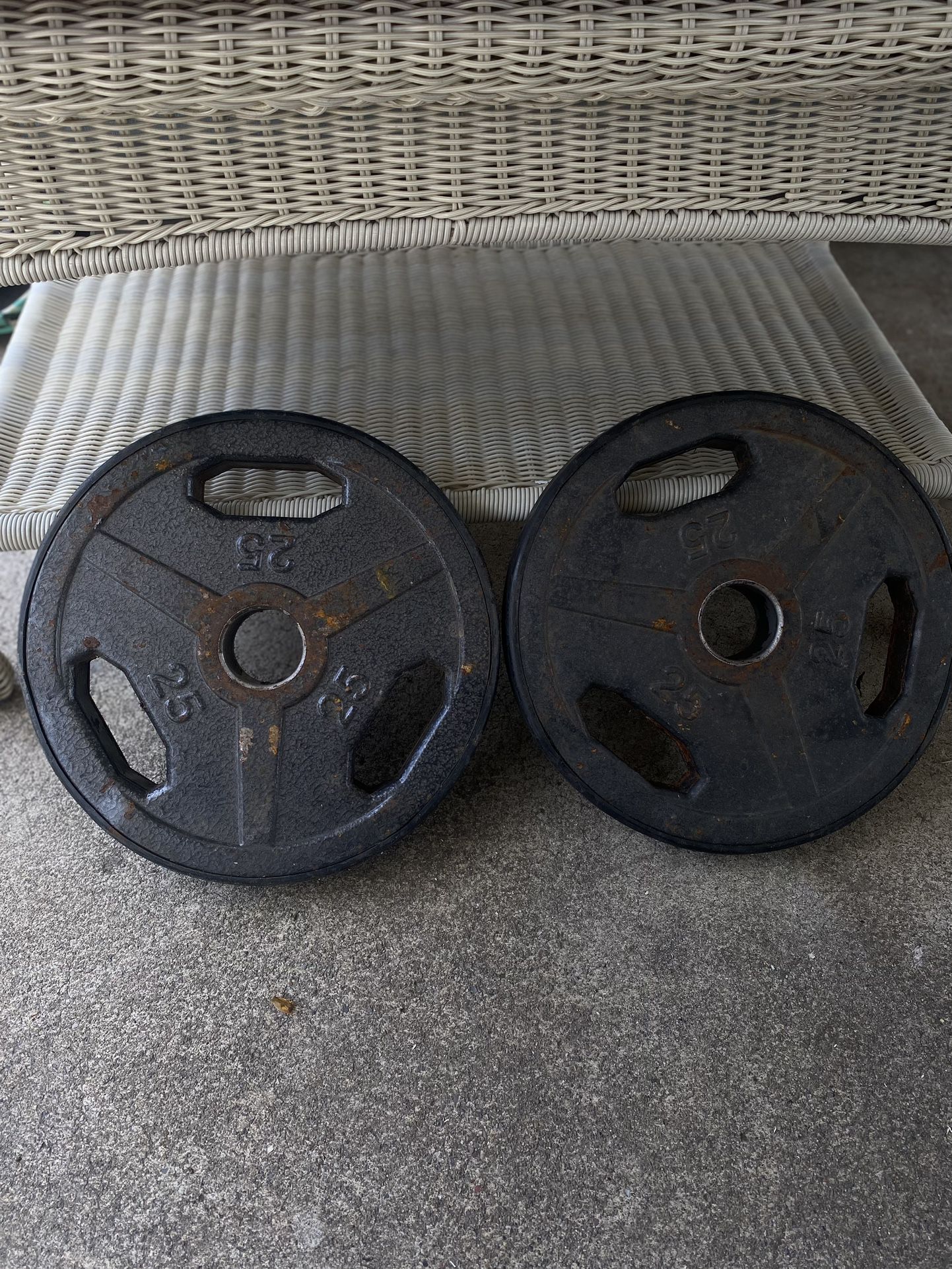 25lb Plates for Barbell - Pair Of 2