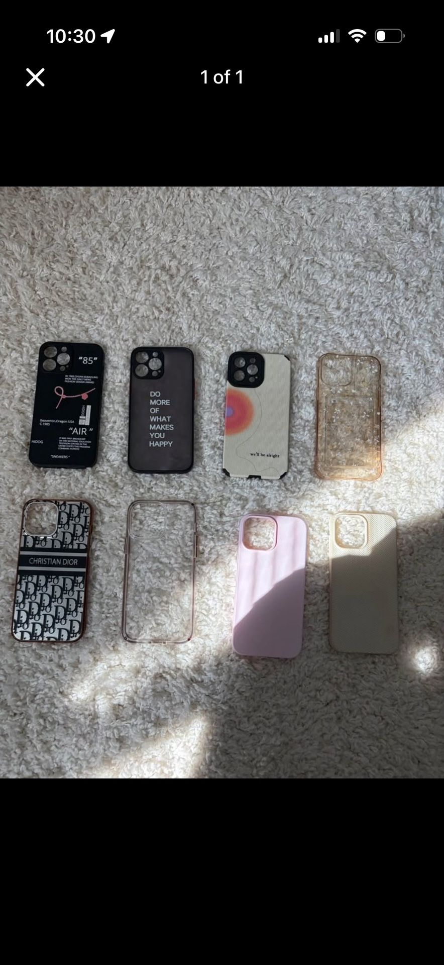 iPhone 13 Pro Max Cases 