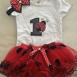 ladybug 1 year birthday dec and outfit