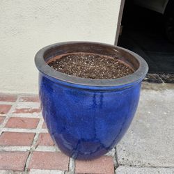 2  Plant Pots Comes With Potting Soil
