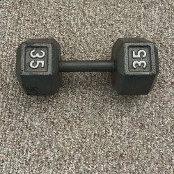 35 Pound Dumbbell (single)