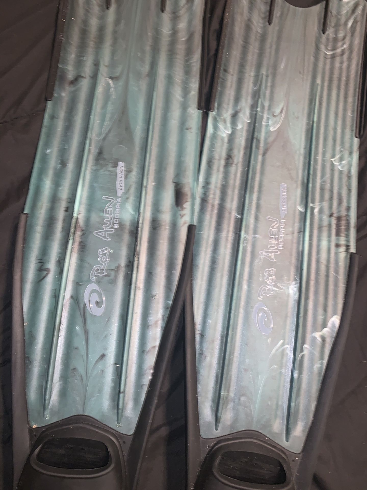 Rob Allen spearfishing spear fish fins