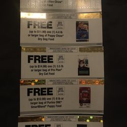 Kitten And Puppy Food