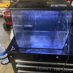 Fish Tank/Retile Tank