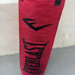 Everlast Boxing Bag