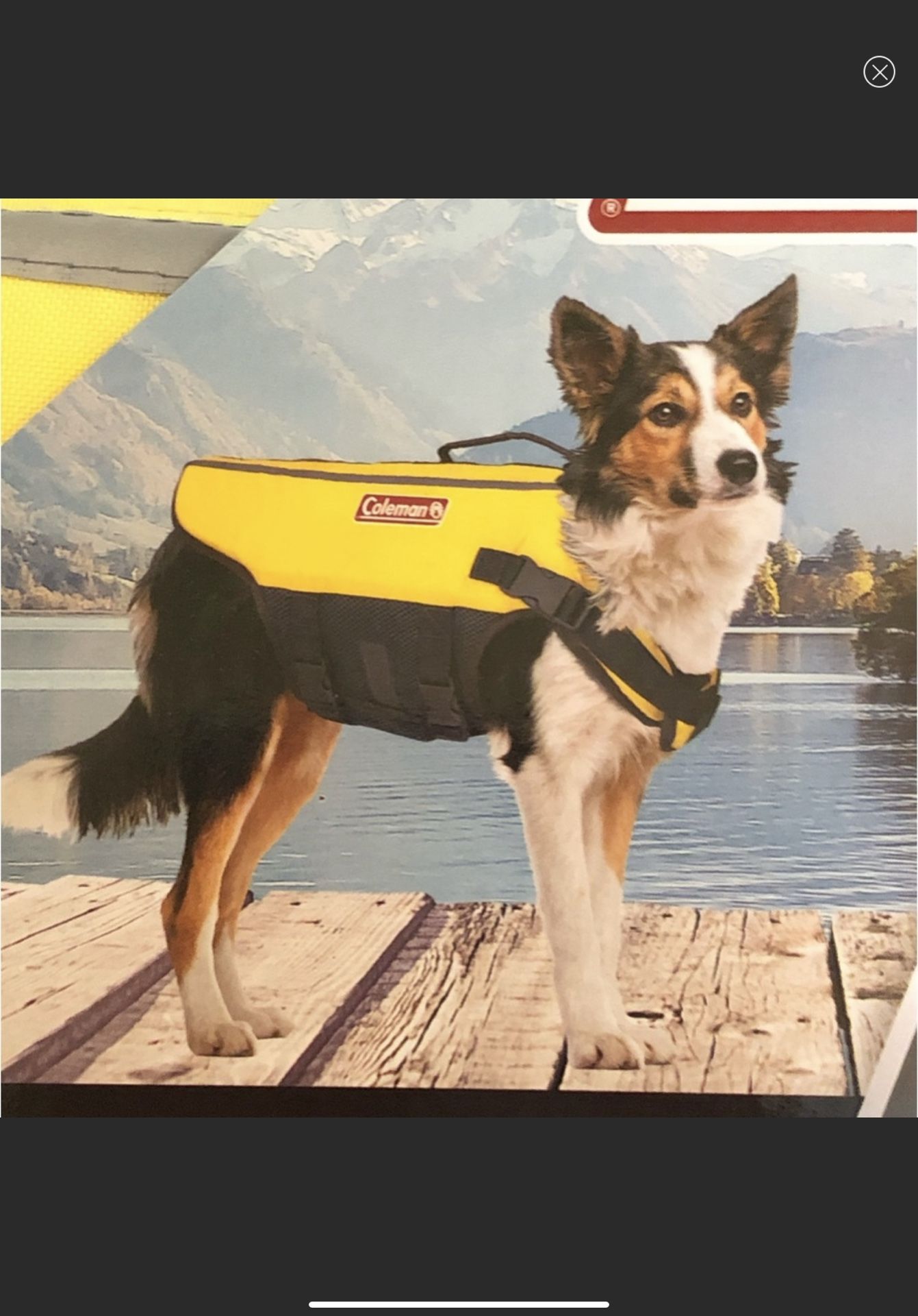 Coleman dog life clearance jacket