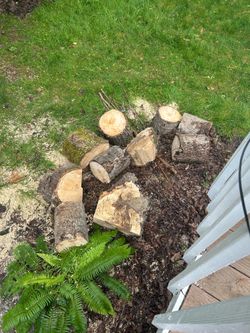 Free Wood
