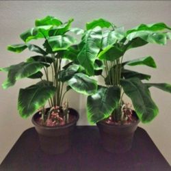 *** NEW LOW PRICE *** Faux Potted Plants with Watermelon / Clear Stone & Lavender / 9" Planters @ Lasting Creations