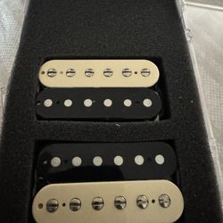Epiphone Stock Humbucker Pickups (stock)