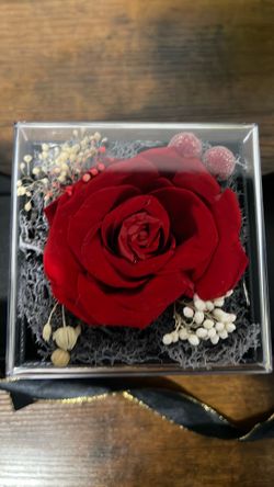 Forever rose with B❤️ necklace