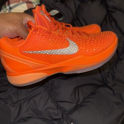 Kobe 6 Protro 