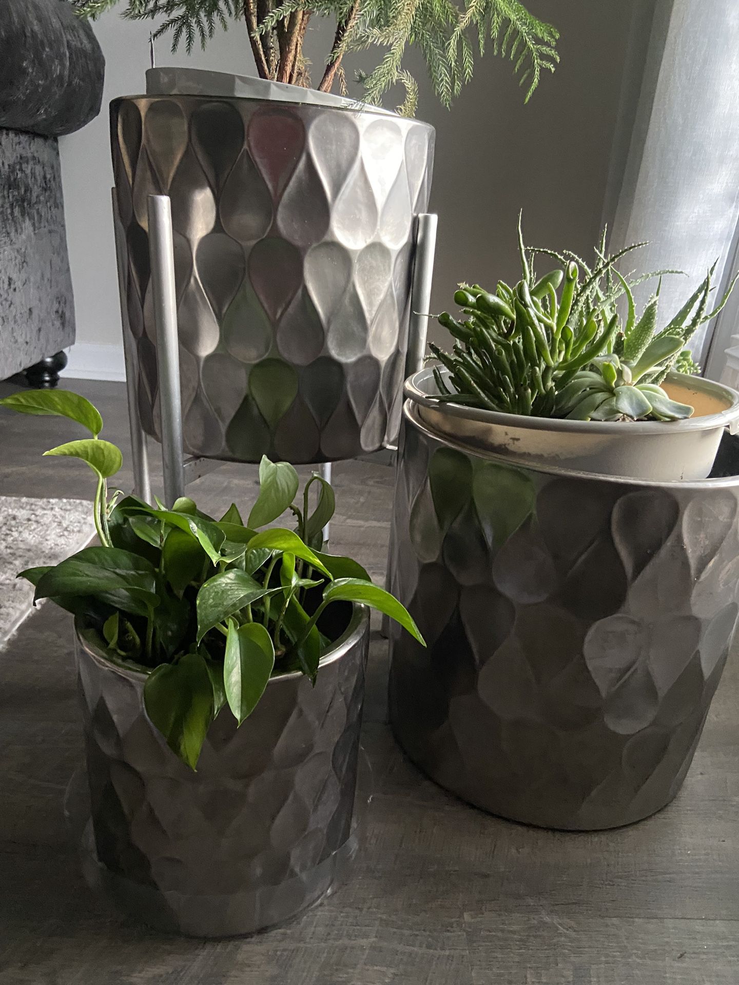 Ceramic Planter Set(  Plants Not Inclusion)