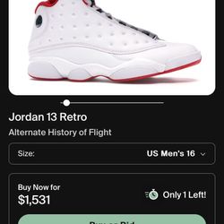 Air Jordan13  Retro Alternate History Of Flight