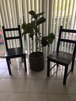 Tree Stand Including Chairs 