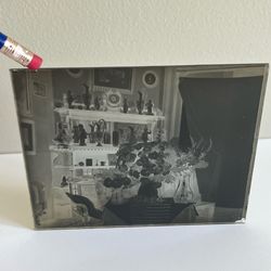 Antique Glass Plate Negative Flowers Statues Figurines NY 1800s / 1900s 5X4in