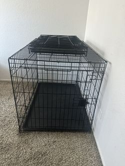 Dog kennel