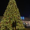 Anghela
