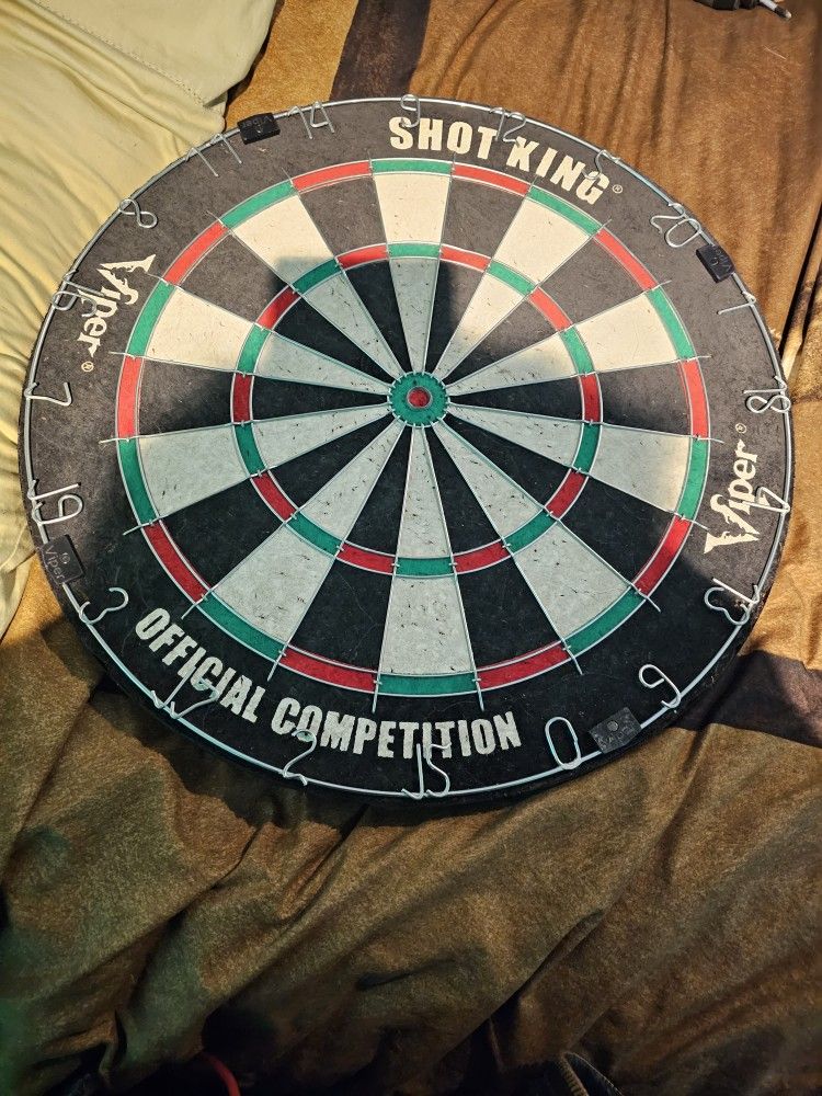 Professional Dart Board