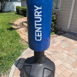 Free Standing Punching Bag